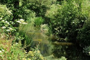 Your private garden at Fishermen's Retreat leads down onto the Midford Brook that runs at the bottom of the garden