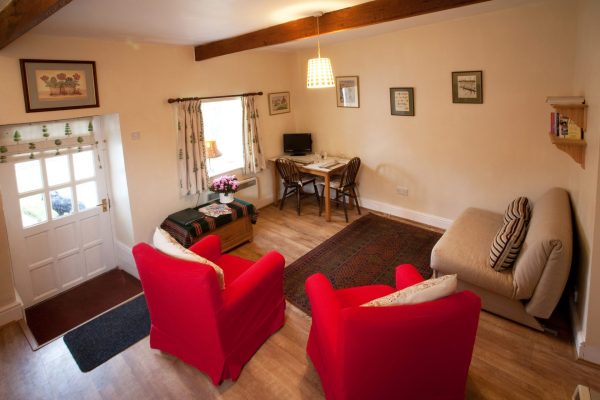 Armchairs in the Living Area